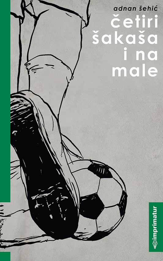 Football Stories Cover Image