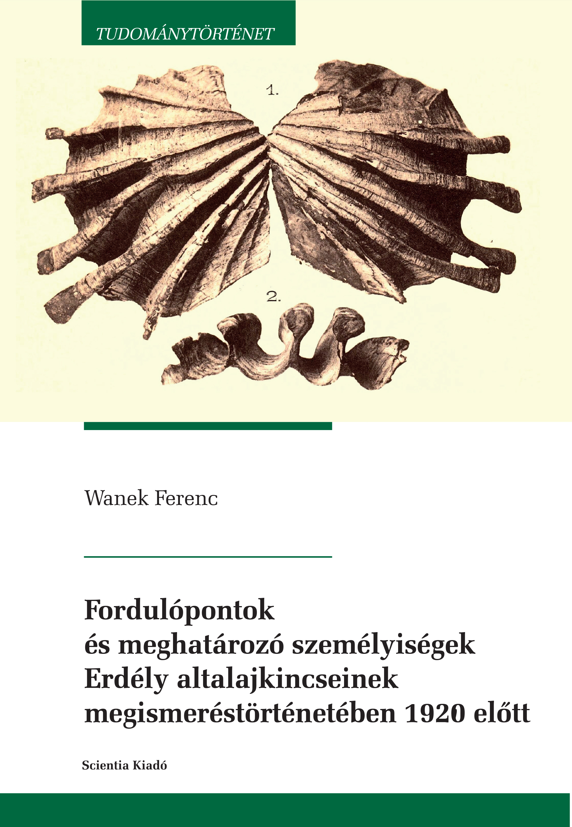 Turning points and defining personalities in the study of subsurface resources of Transylvania before 1920 Cover Image