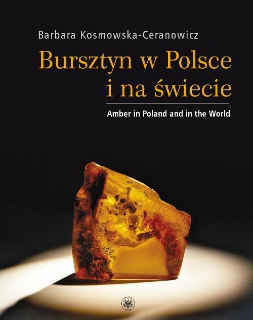 Amber in Poland and in the World, Cover Image