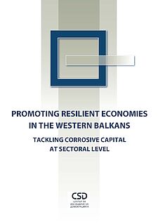 Promoting Resilient Economies in the Western Balkans : Tackling Corrosive Capital at Sectoral Level