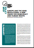 № 41 EUROPE AND THE ARAB REVOLUTIONS: A NEW VISION FOR DEMOCRACY AND HUMAN RIGHTS