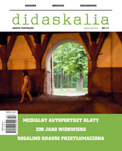 Another Reality Is Possible. Tomasz Kowalski speaks with Weronika Szczawińska and Mateusz Pakuła Cover Image