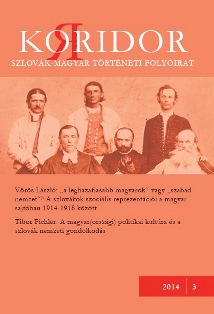 Andrej Tóth–Lukáš Novotný–Michal Stehlík: Národnostní menšiny v Č eskoslovensku 1918–1938. Od státu národního ke státu národnostnímu? Cover Image