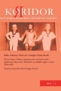 Strážcovia. Stratégie viacnásobnej identity Cover Image