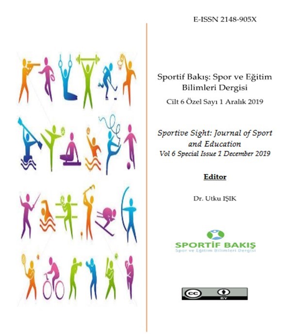 EXAMINATION OF THE VIEWS OF VOLUNTEERS PARTICIPATED IN AN INTERNATIONAL SPORTS ORGANIZATION Cover Image